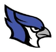 blue jay head.jpg